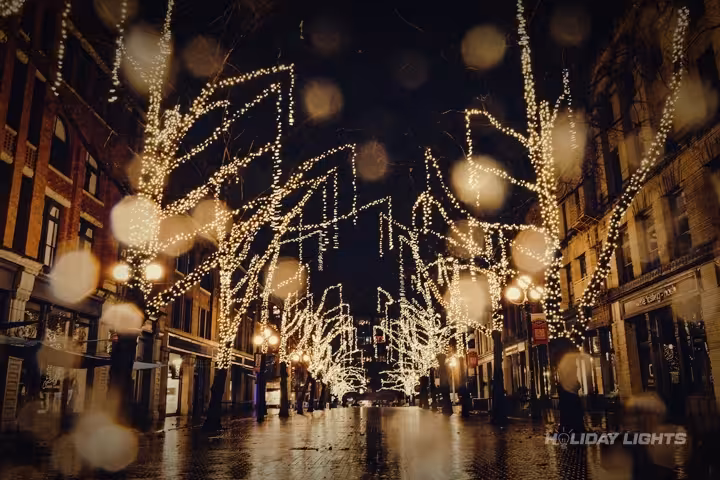 Professional municipal Christmas light installation in Bear, Delaware — Cityscape Holiday Lighting