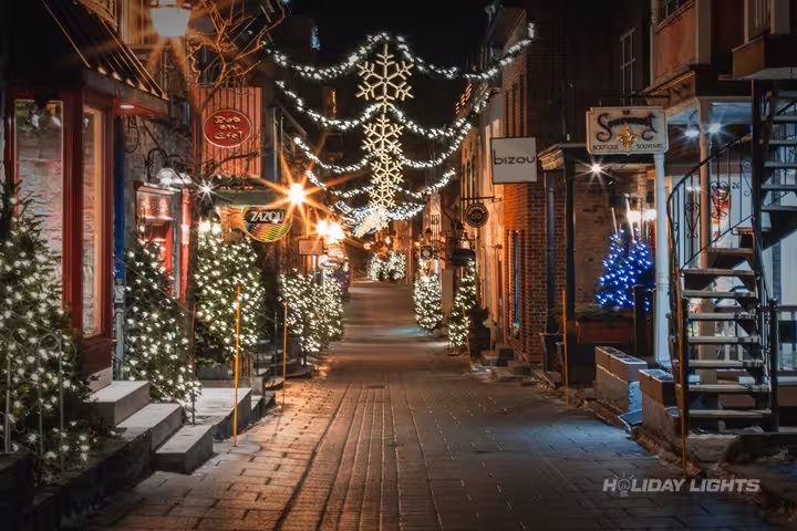 Professional municipal Christmas light installation in Arden, Delaware — Downtown Skyline Decoration