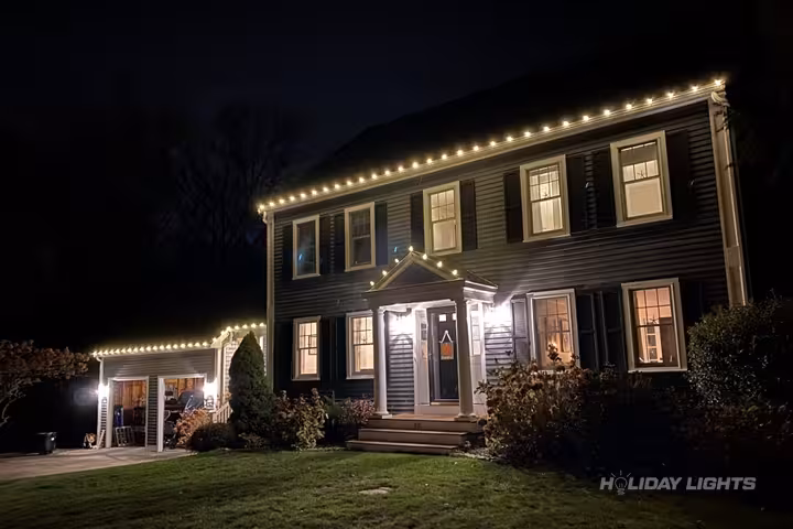Professional christmas light removal in Delaware City, Delaware — Complete Removal Service