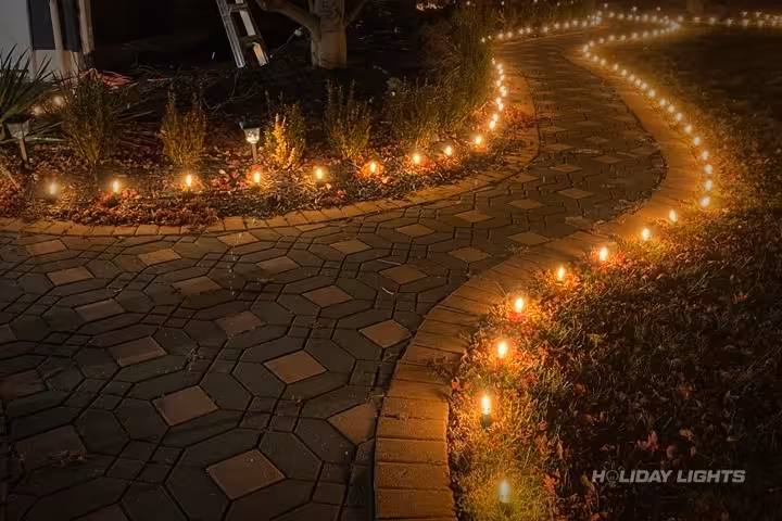 Professional tree wrapping services in Clayton, Delaware — Landscape Lighting