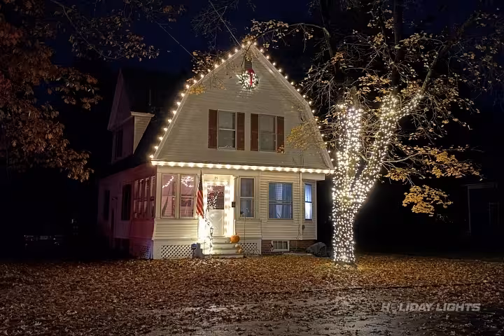 Professional tree wrapping services in Clayton, Delaware — Trunk Wrapping Display