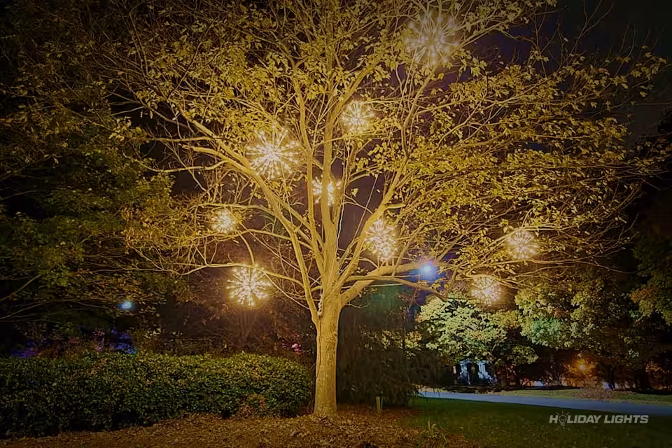 Professional tree wrapping services in Clayton, Delaware — Holiday Tree Wrapping
